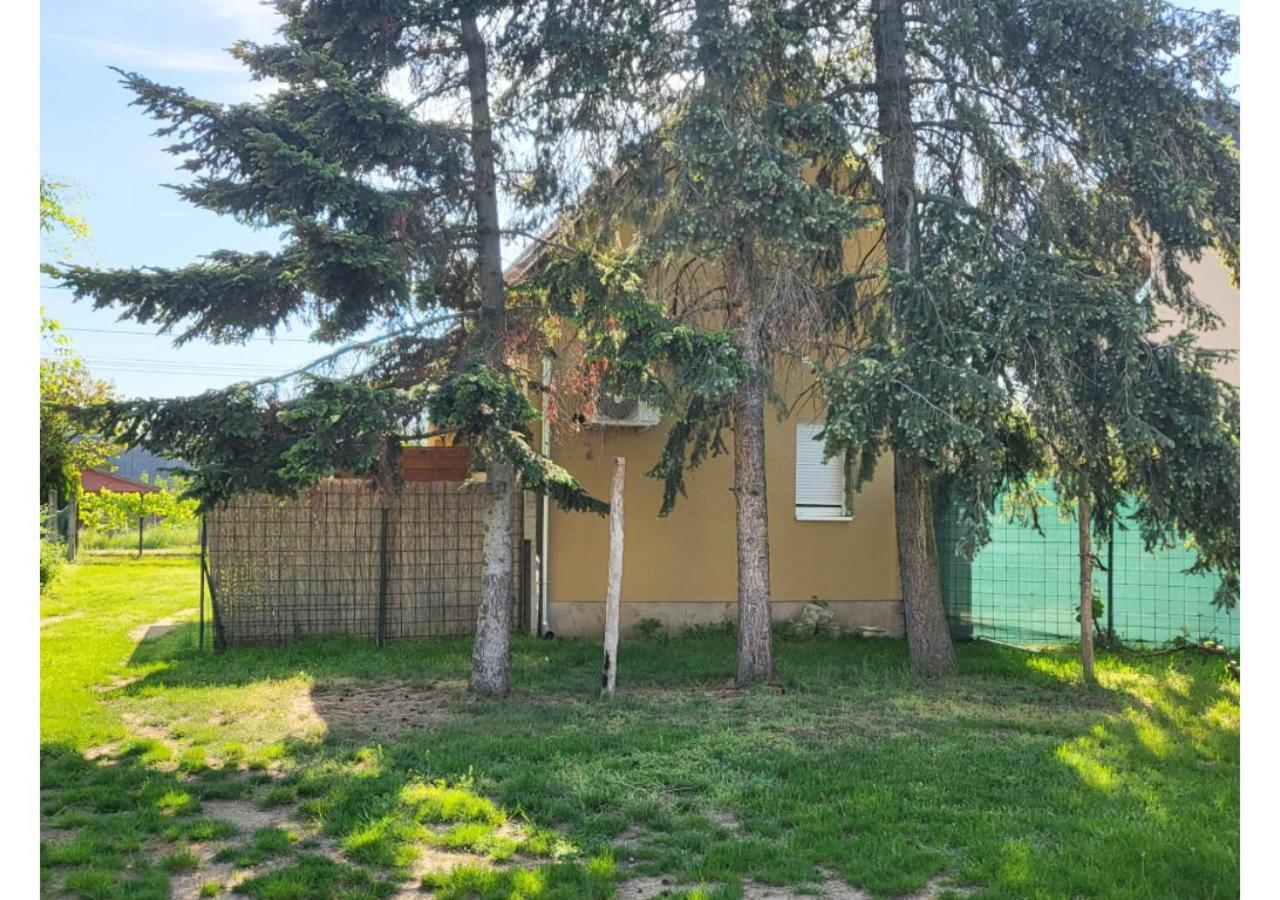 Apartament Forras Vendeghaz Tata Zewnętrze zdjęcie