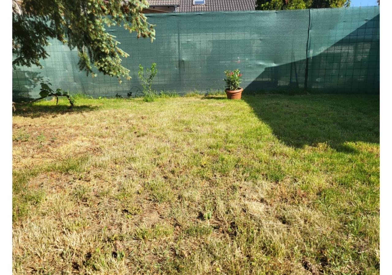 Apartament Forras Vendeghaz Tata Zewnętrze zdjęcie